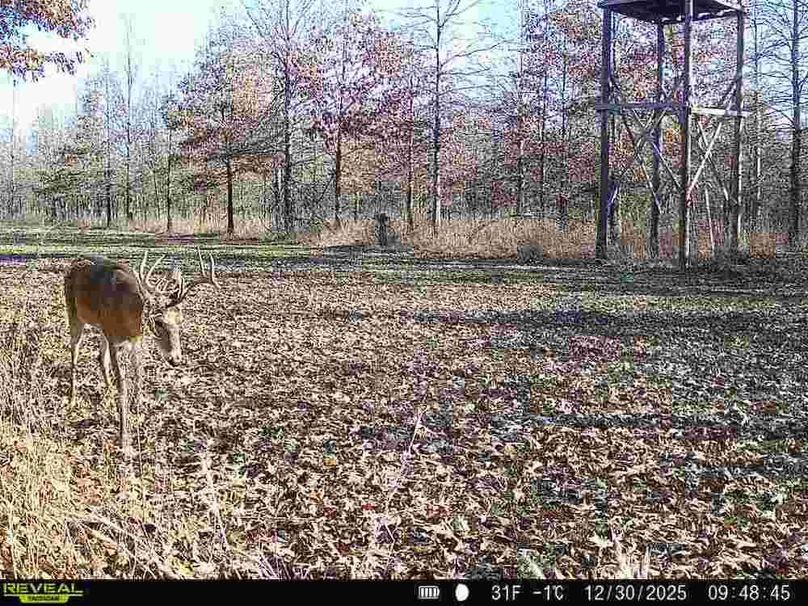 860516067536189-80-2-12302025094844-V-W1001516