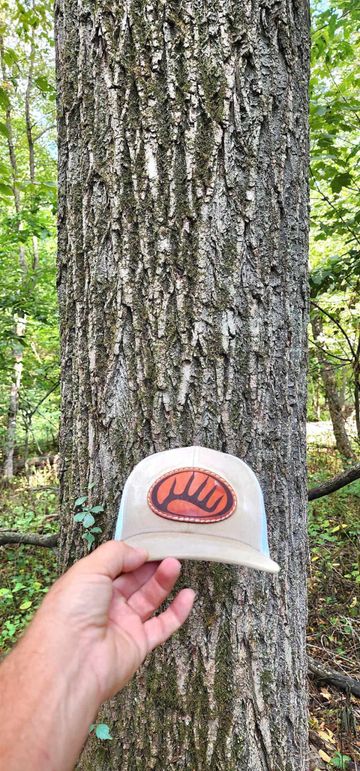 382327641_856146022786719_3588161737110600511_n