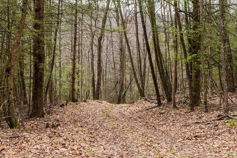 18-web-or-mls-IMG-18