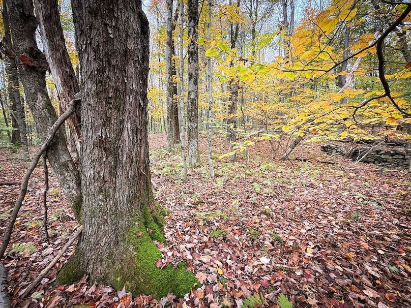 Oswego NY 6.68 Photos 28