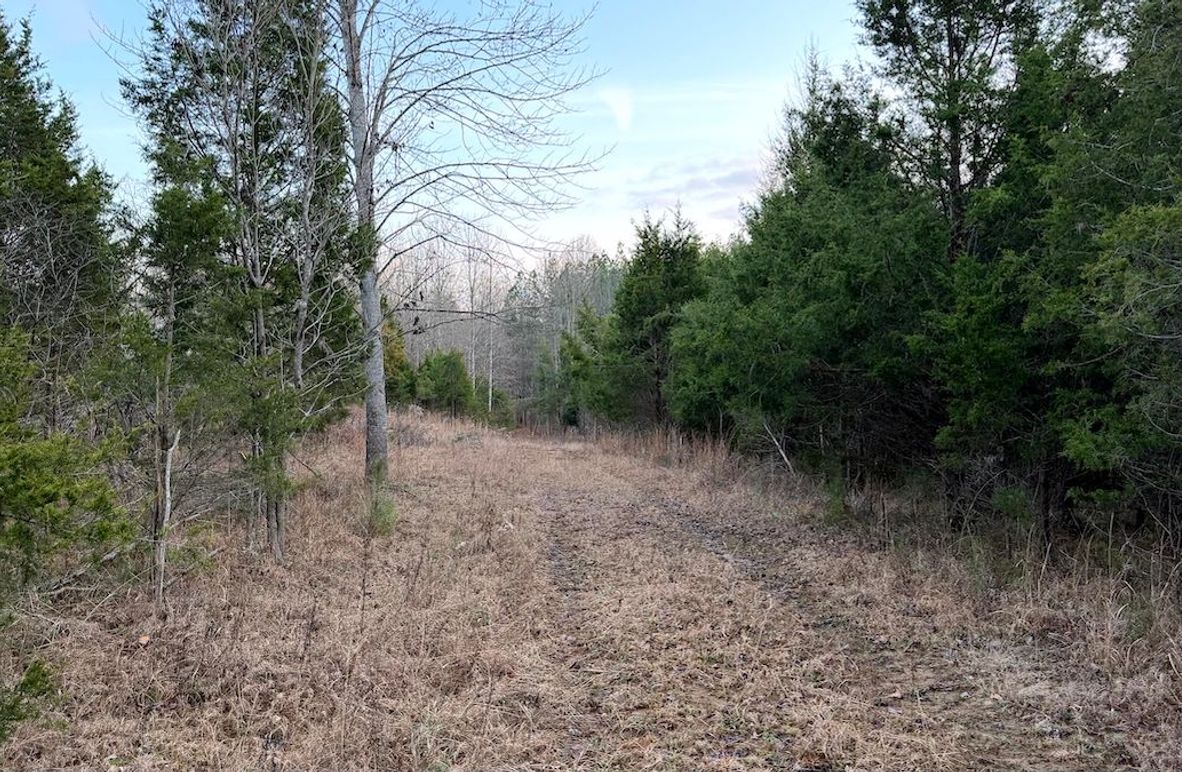 Grayson 48.195 Johnson5