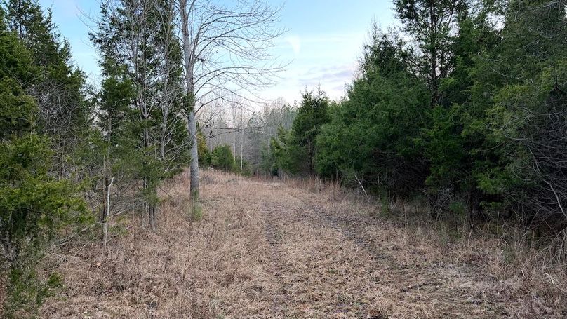 Grayson 48.195 Johnson5