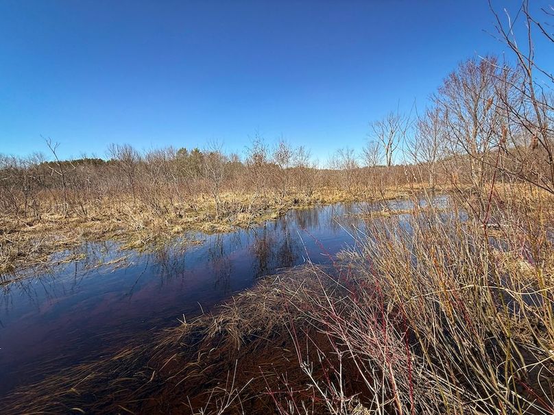 Oswego_8_Cannade_Photos_26