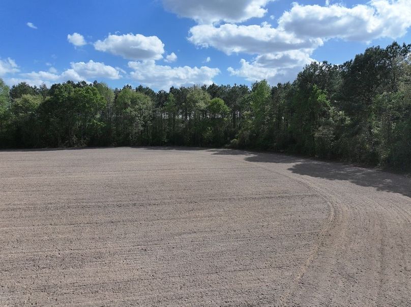 dji_fly_20260315_120902_0529_1775758691528_photo