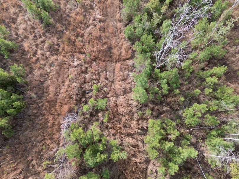 DJI_20240227082454_0005_craven60