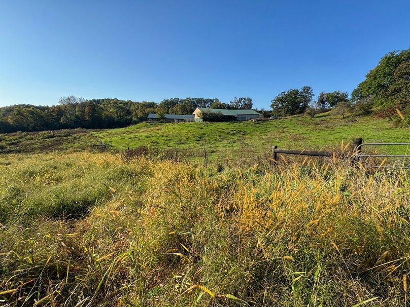 Monroe 5.31-28 Large