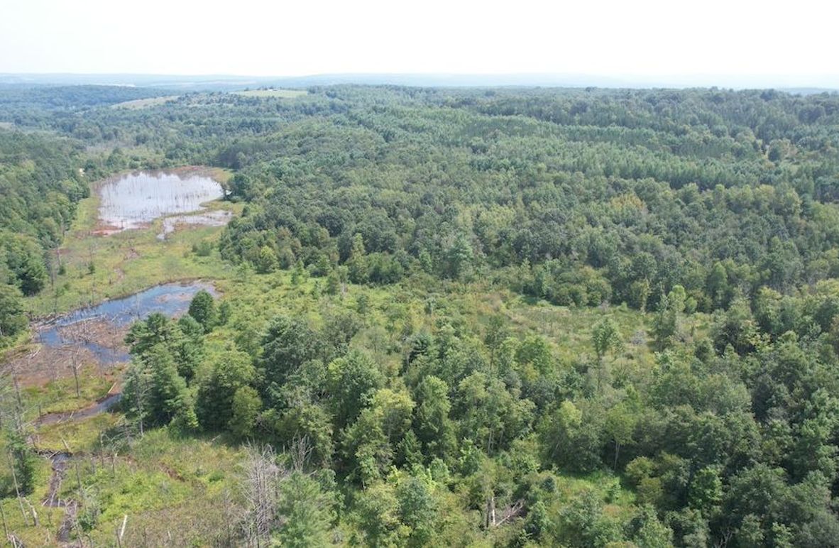 dji_fly_20250804_143144_457_1754355866065_photo