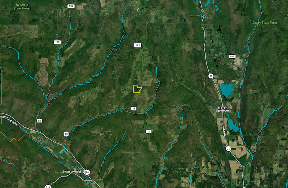 Chemung_29.78_Lippincott Land ID Map 4