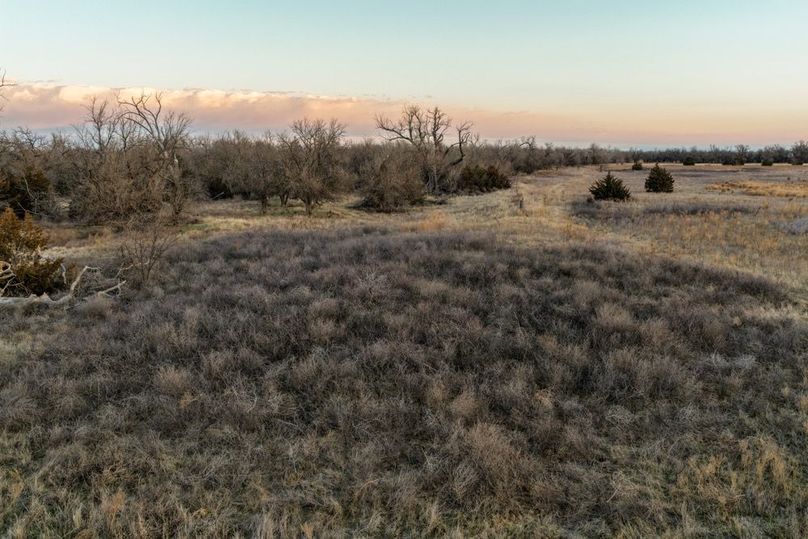 DJI_20260311081223_0510_D