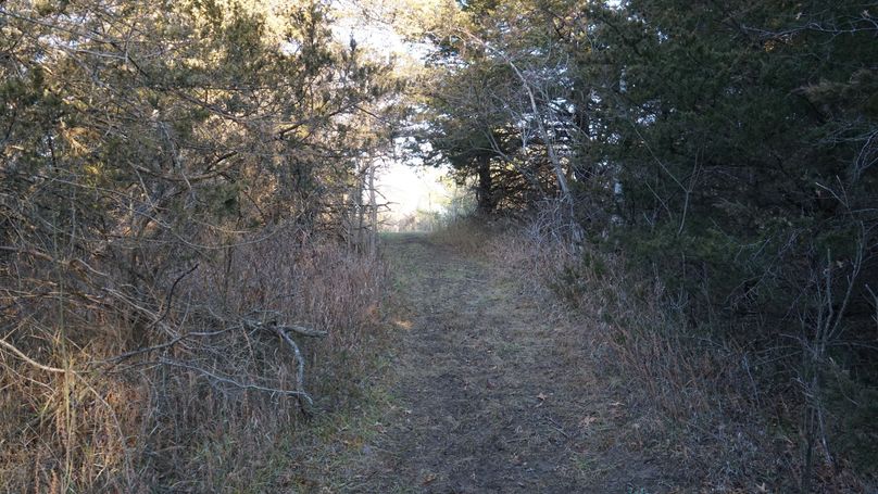 DSC02617