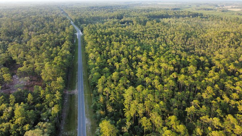 dji_fly_20230624_194916_62_1687650563937_photo_optimized