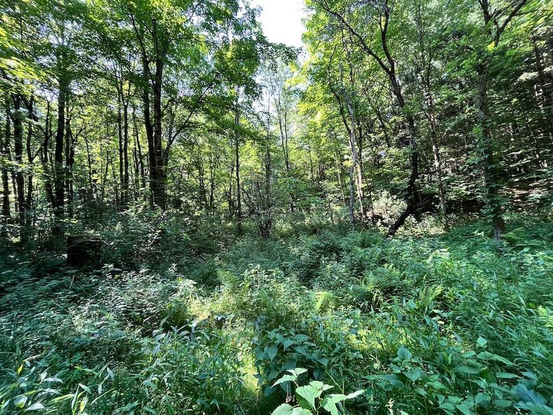 Oswego_24_Frank Photo 19