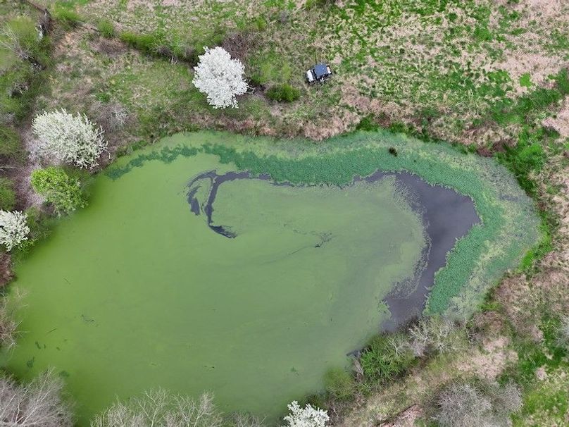 DJI_20260309170229_0033_V