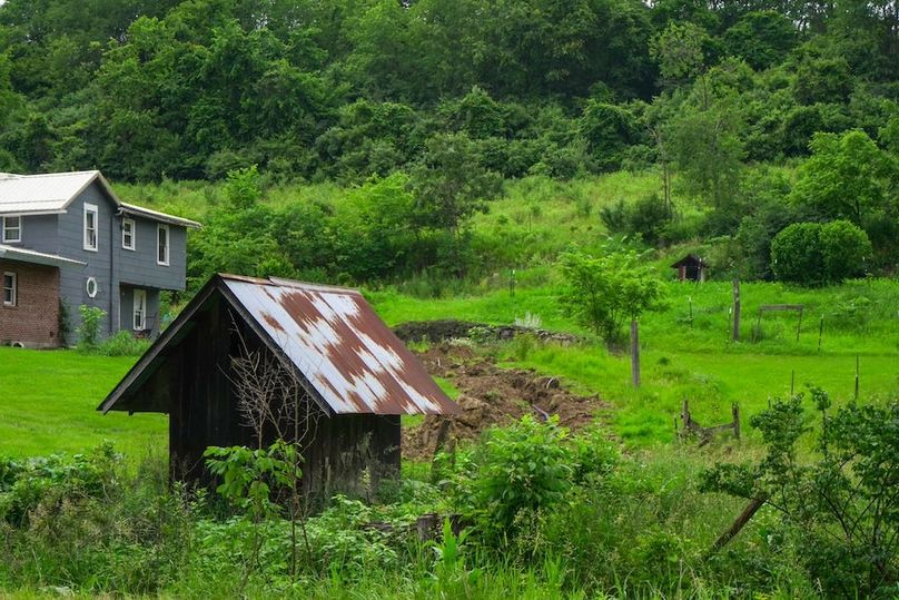 Bedford,121,Beegle-22