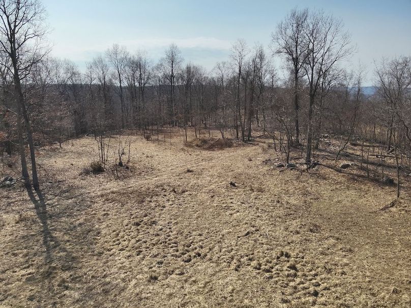 DJI_20250304114441_0001_V