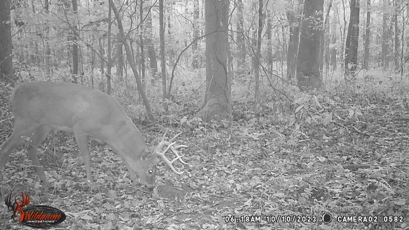 trail cam36