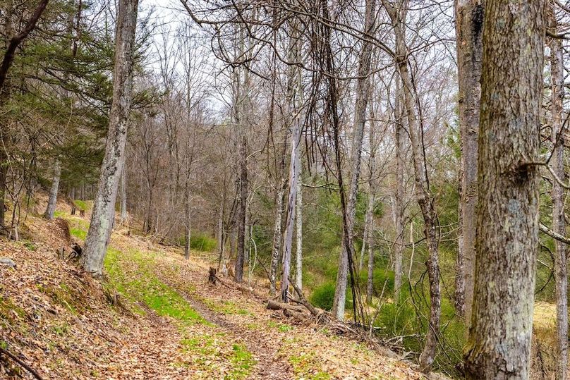 50-web-or-mls-IMG-50