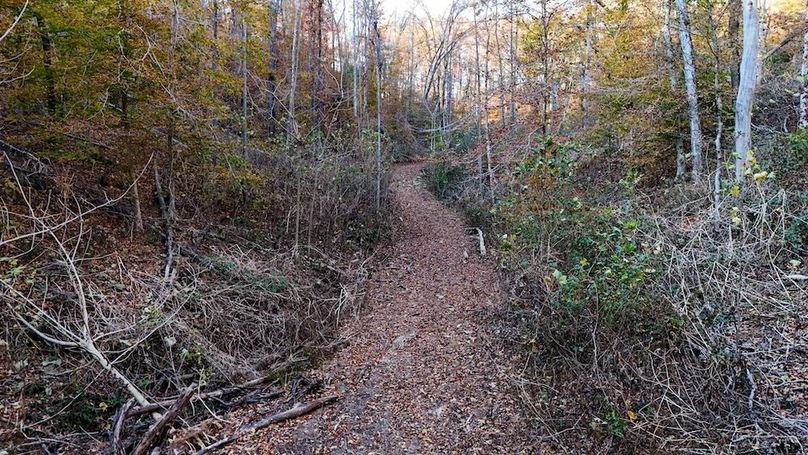 DJI_20251111155202_0060_D