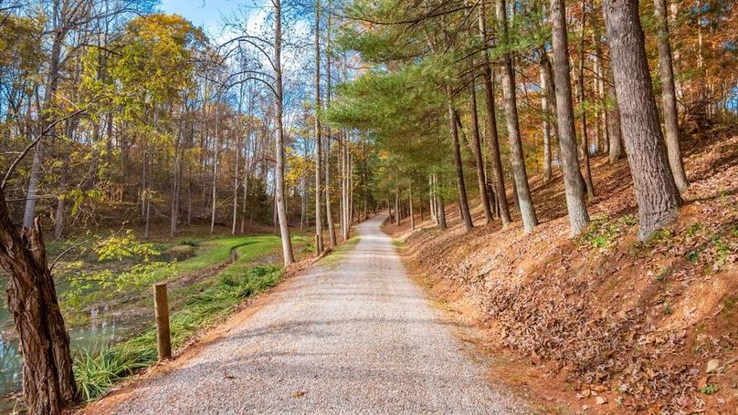 73-z 46585 Morning Star125-2