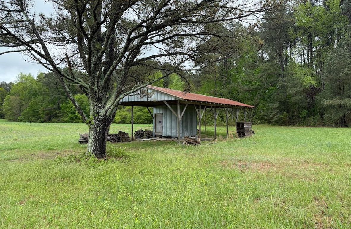 Copy of Copy of IMG_5653