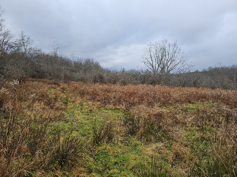 photo_59cade47-4bd7-4fac-a651-b790c068d4ff