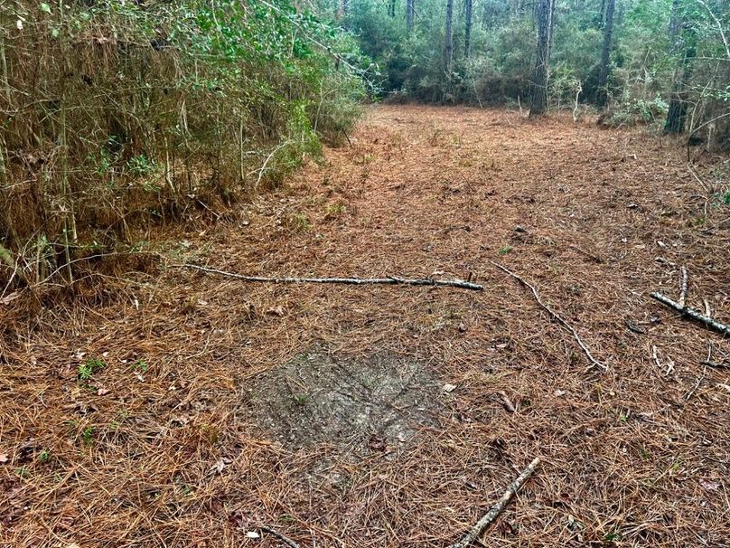 864C0DC9-2D45-4F8E-B488-944C00B7AB7C_1_201_a