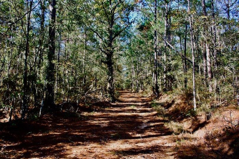 039E9098-9EF2-43DE-BBA0-BC365457490A_1_105_c