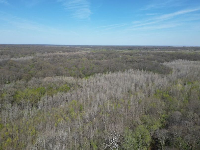 DJI_0213