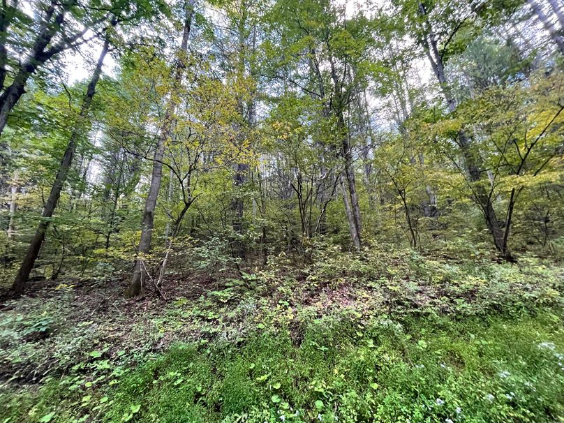 Tioga_20_Peters Photo 22