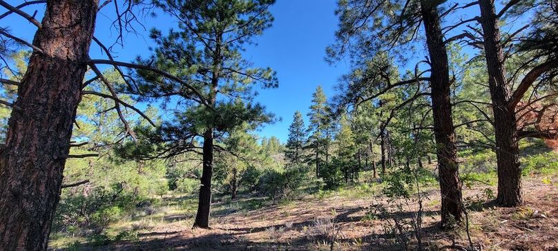 Copy of 20210827_090627