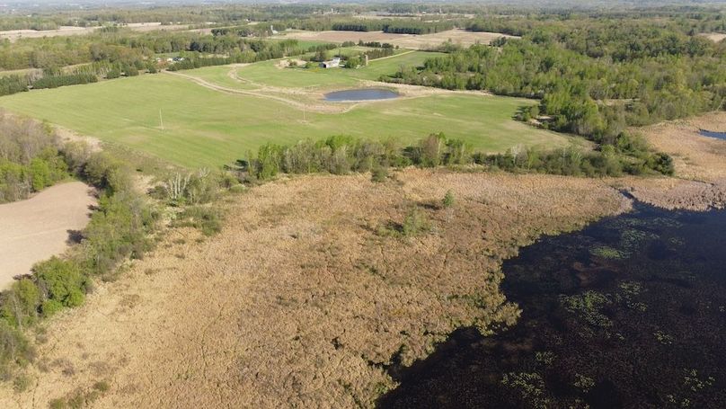 Copy of dji_fly_20250512_083542_258_1747057062335_photo_optimized