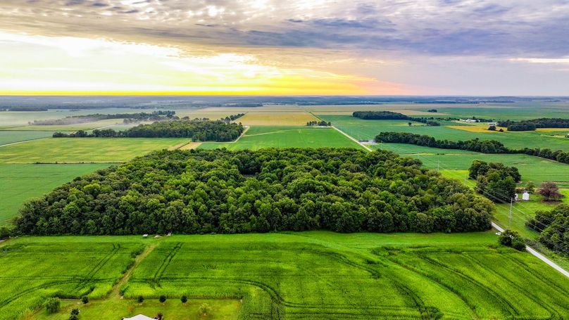 DJI_20240821070737_0011_D