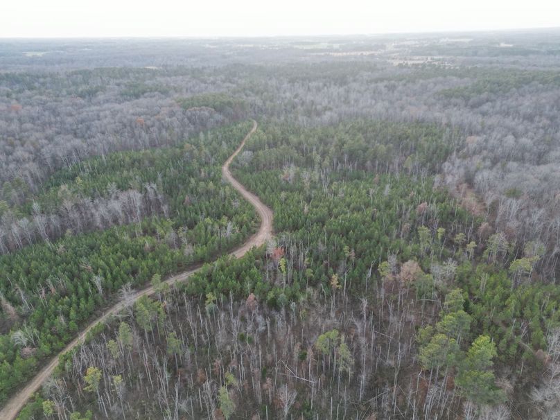 dji_fly_20231130_052532_270_1701905203638_photo