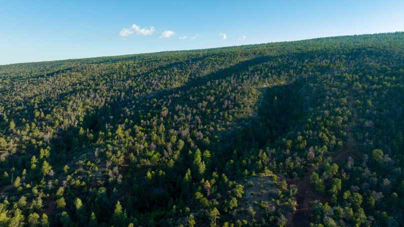 Cibola NM 13,053-0487