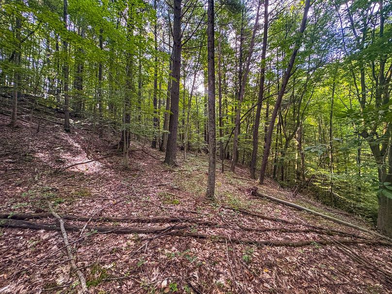 Lewis, WV 82.87 AC Barger-110