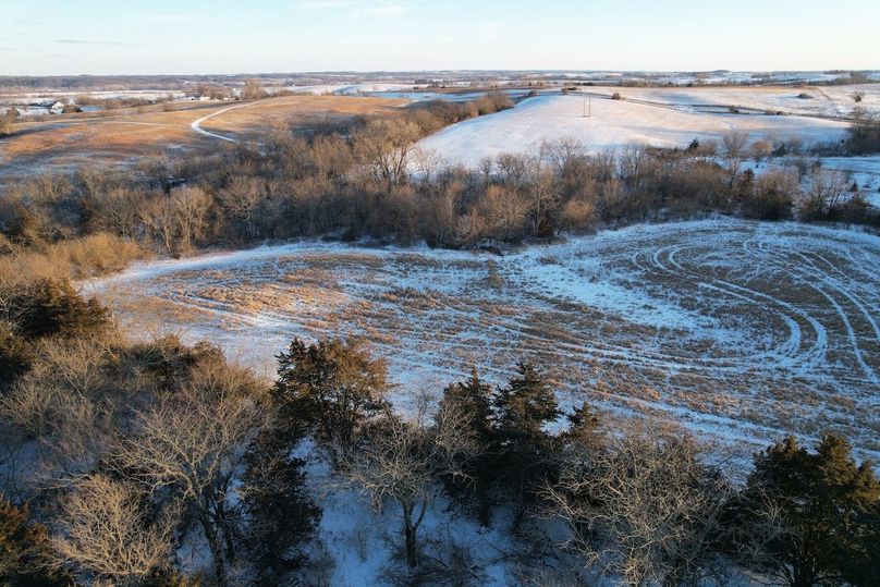 DJI_0503
