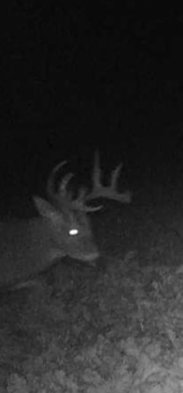 Screenshot_20220929-100129_Gallery