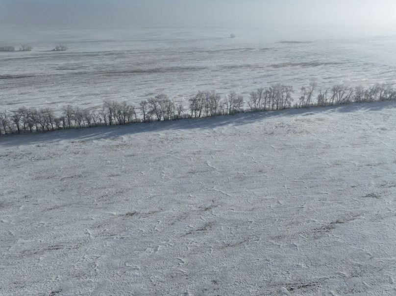 Copy of DJI_20241230115807_0351_D