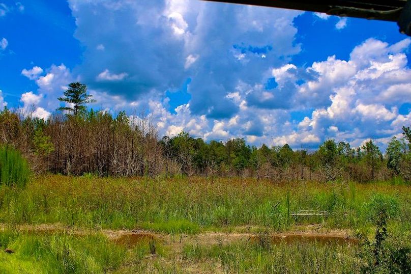 6174C49F-45EA-4F6E-BB02-42D0B2428507_1_201_a