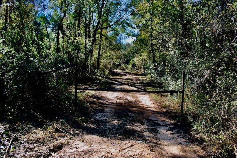 57038DDF-249C-4A4F-8973-3AEFB774426F_1_105_c