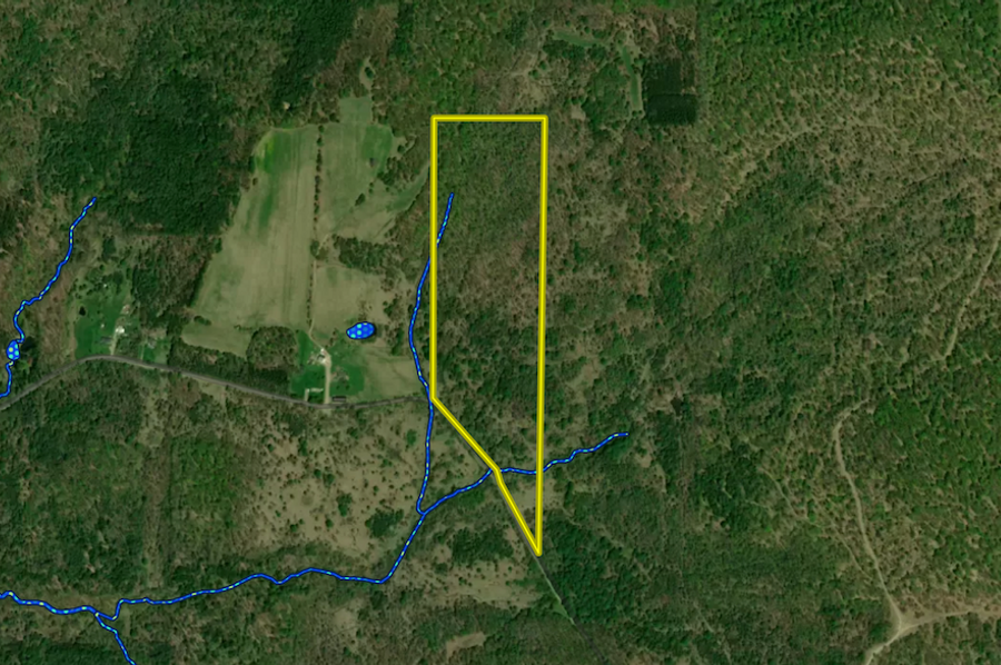 Chemung_31.822_Gutchess_Lumber_Landid_5