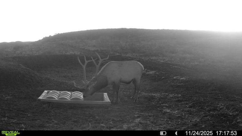 016578003984348-31-3-11242025171753-V-SYFW01839