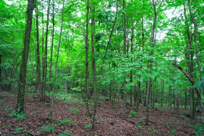 Bedford,121,Beegle-38