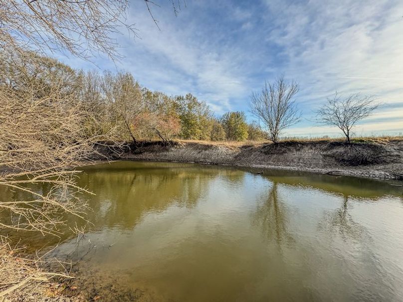 St. Francis 216.9 Calvin Parker Farms Profile -13