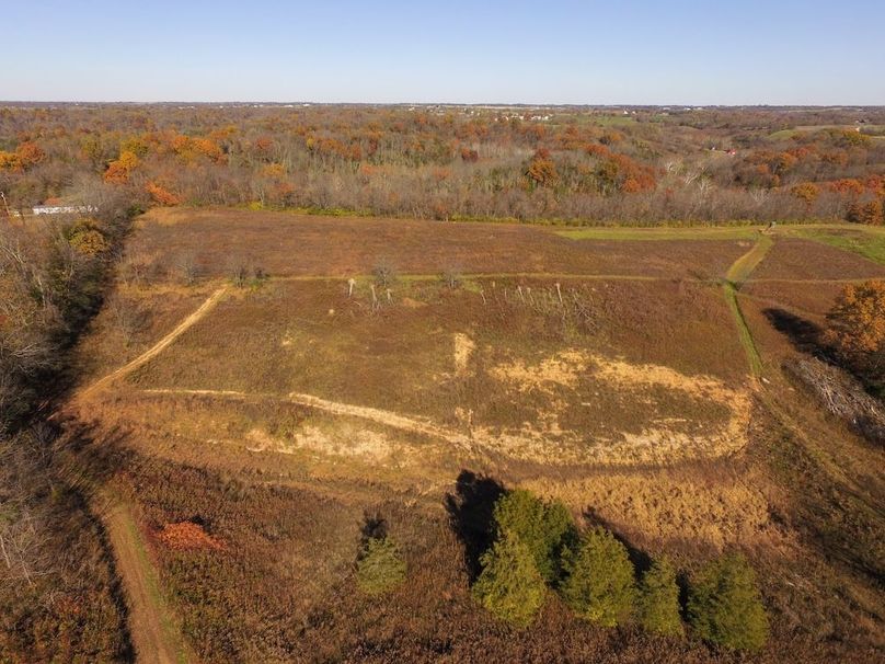 Fleming Petry 115-06