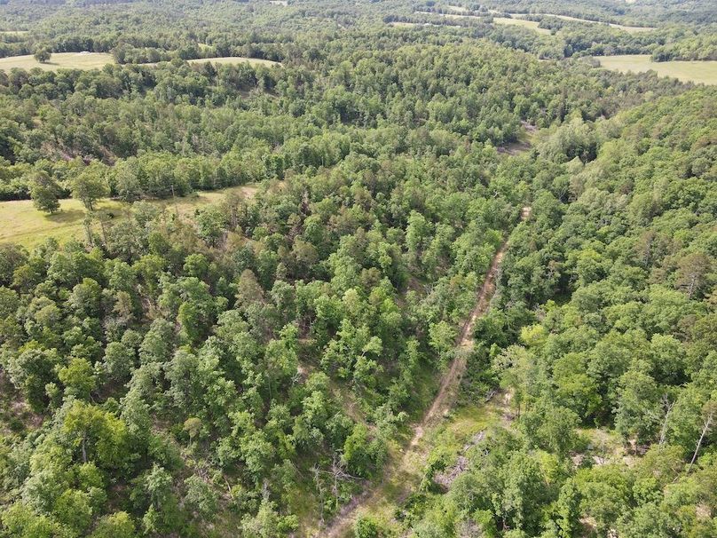 DJI_0442