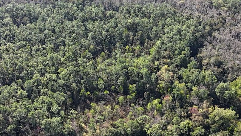 DJI_20260108103439_0128_D