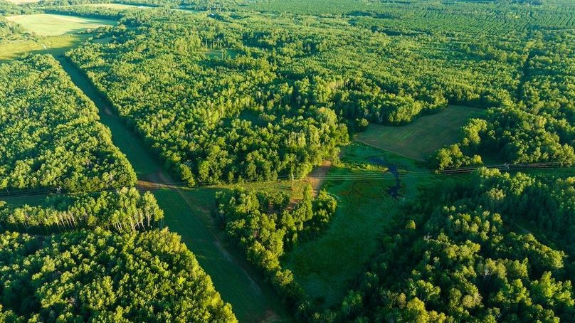 Cass MN 1095 Featured ProPhoto-73