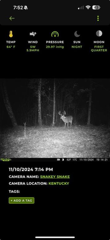 trailcam26