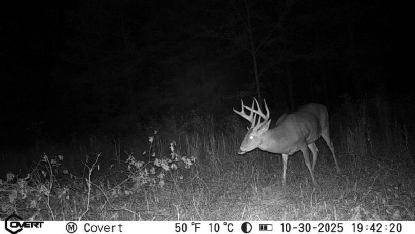 10_30_2025_19_42_20_3229975191